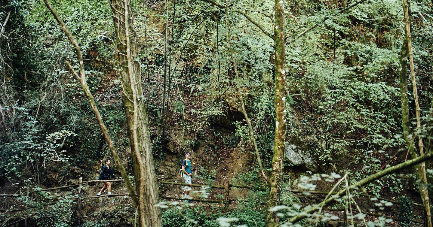 AN IMMERSIVE BOTANICAL EXCURSION